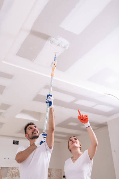 Best Residential Mold Inspection & Testing  in New Hampton, IA