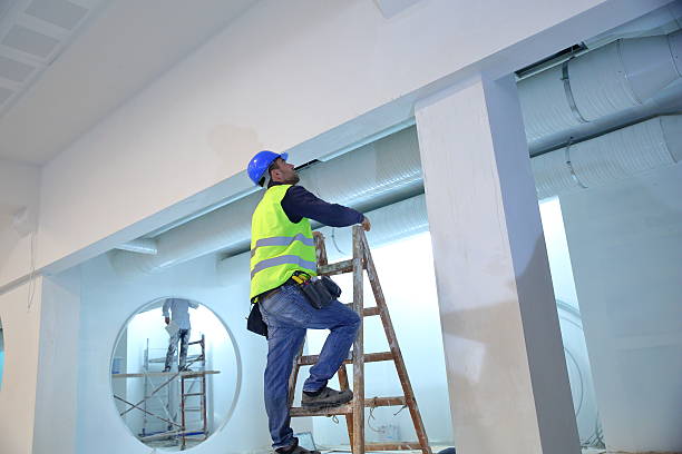 Best Attic Mold Removal  in New Hampton, IA