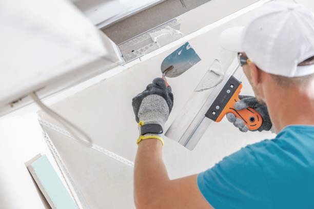 Best Comprehensive Air Testing for Mold Contaminants  in New Hampton, IA
